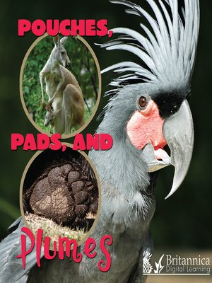 cover image of Pouches, Pads, and Plumes